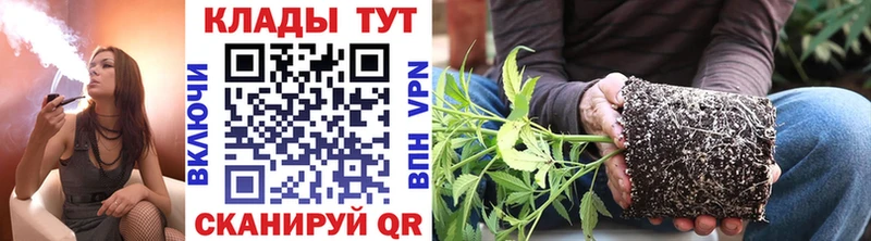 Магазин наркотиков Дзержинск A PVP  КОКАИН  Псилоцибиновые грибы  НБОМе  kraken ссылки  Канабис  ГАШ 