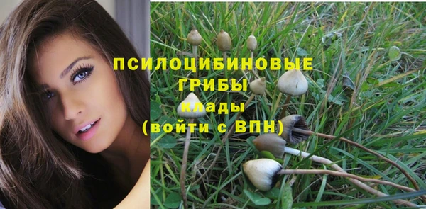 синтетический гашиш Алексин