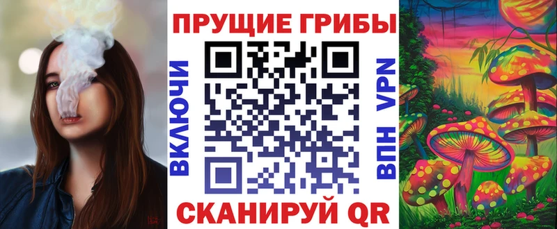 Галлюциногенные грибы Psilocybe  Дзержинск 