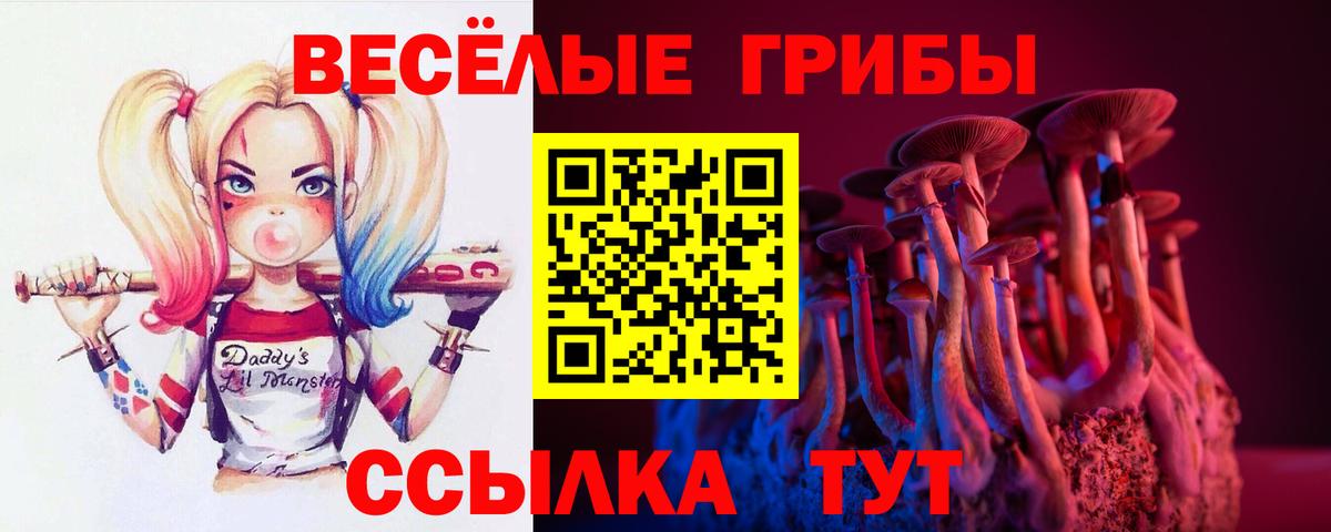 Псилоцибиновые грибы мухоморы  Вход с VPN  Псилоцибиновые грибы GOLDEN TEACHER  Дзержинск 